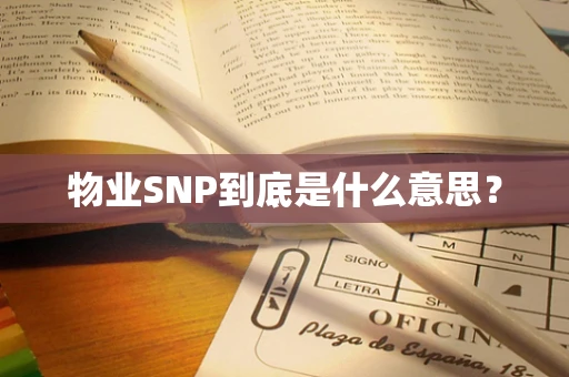 物业SNP到底是什么意思？