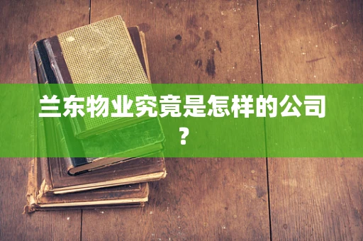 兰东物业究竟是怎样的公司？